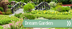 Large Garden - Landscape Gardeners in Woking, Surrey